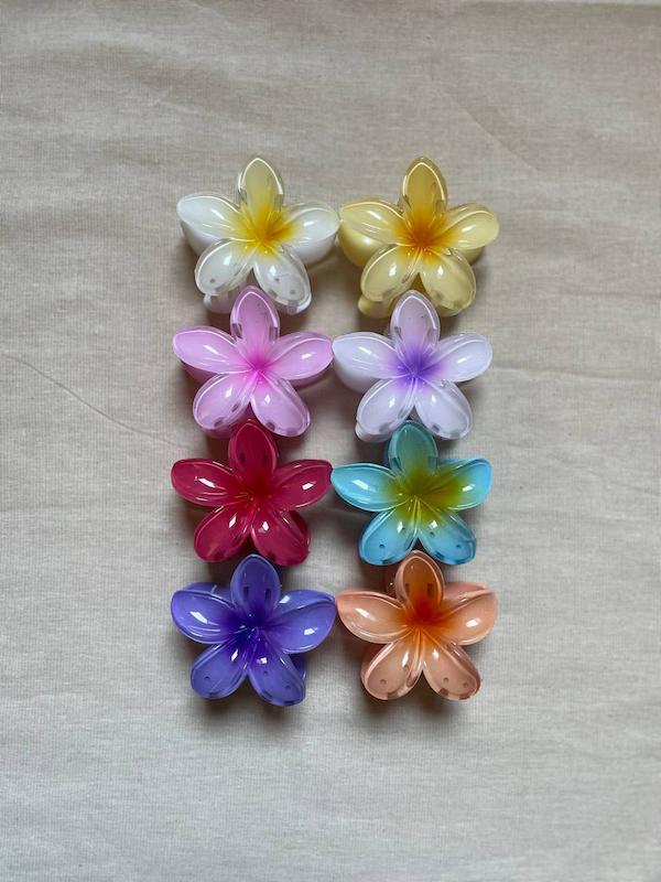 کلیپس پلومریا 