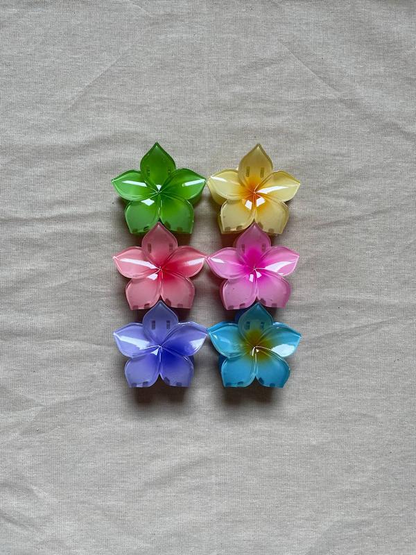 کلیپس پلومریا ستاره 