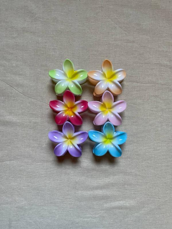 کلیپس پلومریا سه رنگ