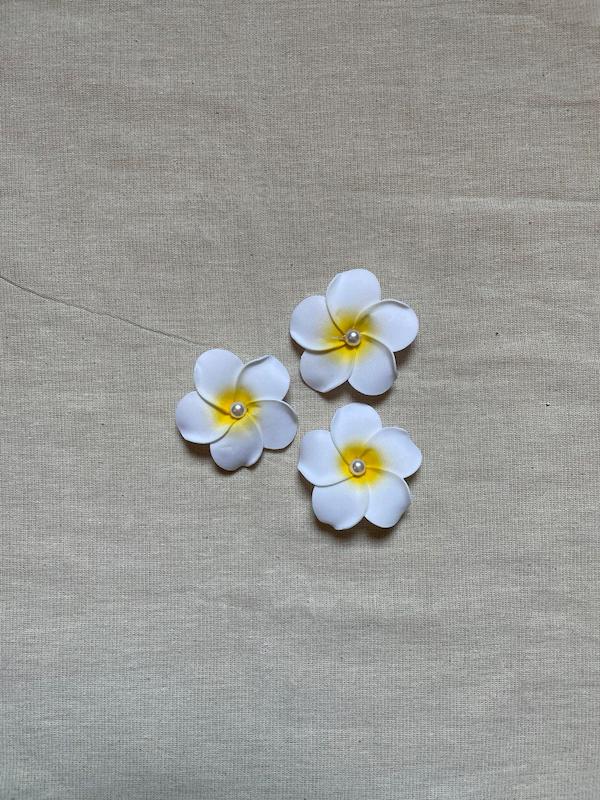 گیره پلومریا