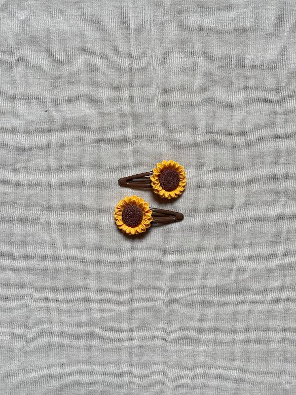 تق تقی آفتابگردان