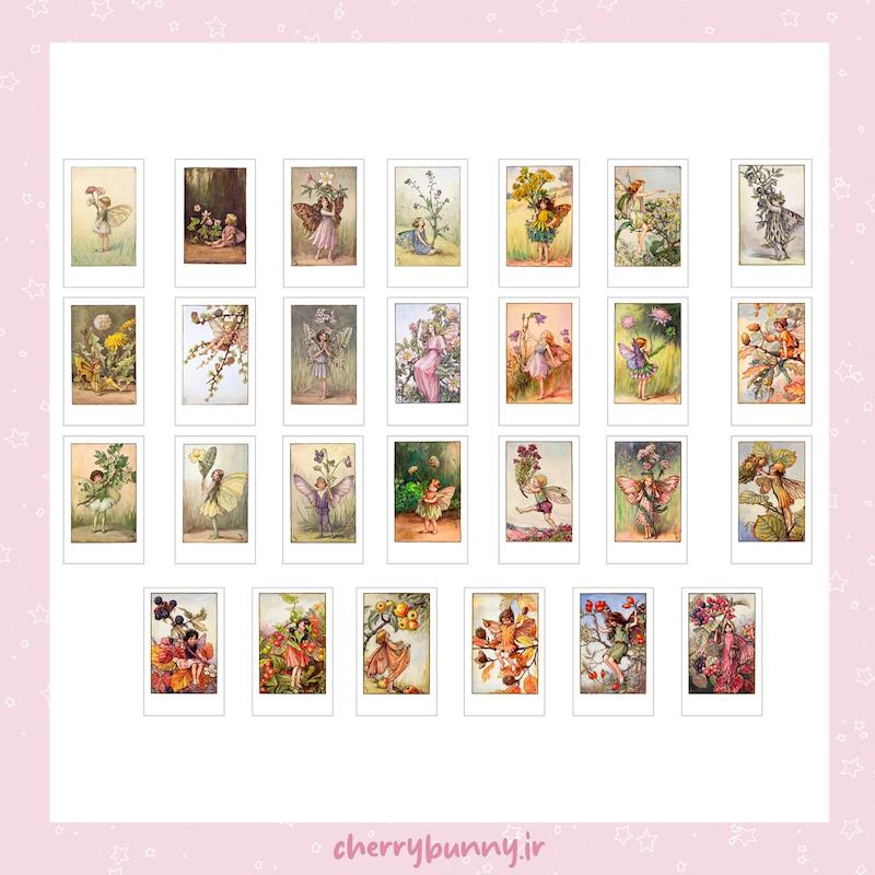 پلاروید flower fairies