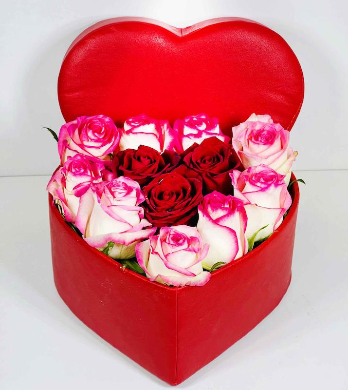 گل قلبی رز هلندی