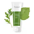 فوم شستشوی صورت Wormwood فریجور Fraijour