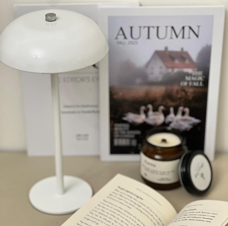 آباژور لمسی طرح زارا پایه بلند