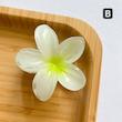 کلیپس پلومریا 8cm