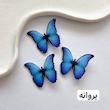 گیره مو استیکری🎀