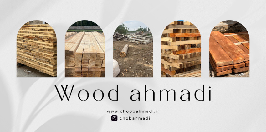 slide-image-undefined