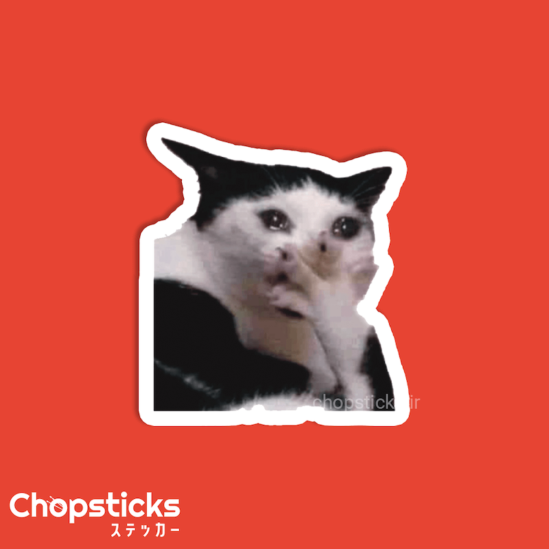 استیکر surprise cat 