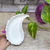 قالب سیلیکونی ظرف بال فرشته