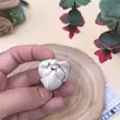 قالب سیلیکونی غنچه لاله روسی