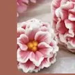 قالب سیلیکونی گل کلارکیا روسی
