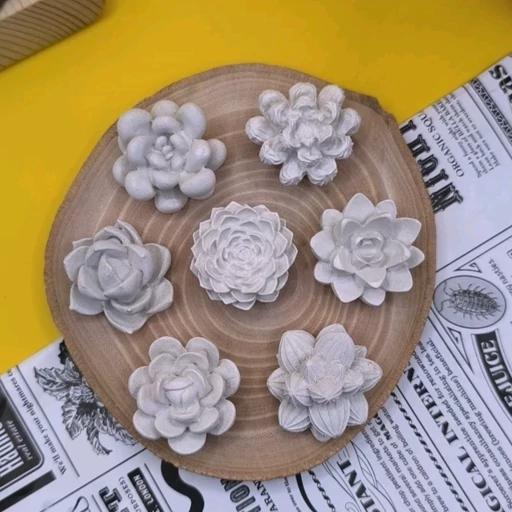 بیس خام کاکتوس هفت عددی