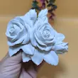 قالب سیلیکونی گل رز دو تایی پشت تخت