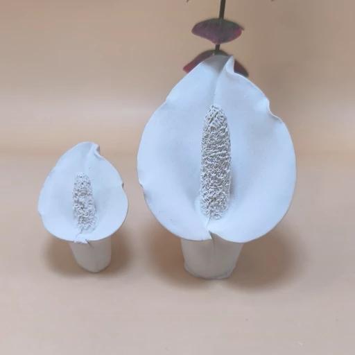 قالب سیلیکونی گل شیپوری طول شیپوری بزرگ شش سانت و طول کوچک 3٫5 سانت