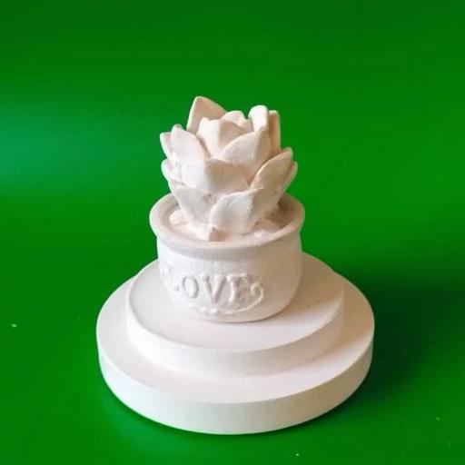 قالب سیلیکونی گلدان کاکتوس ارتفاع 6 سانتیمتر 