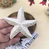 قالب سیلیکونی ستاره دریایی