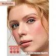 پالت ۶ عددی رژگونه شیگلم