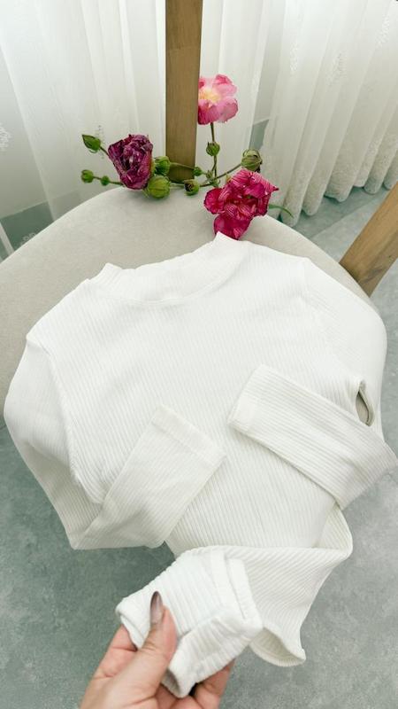 بادی یقه ایستاده