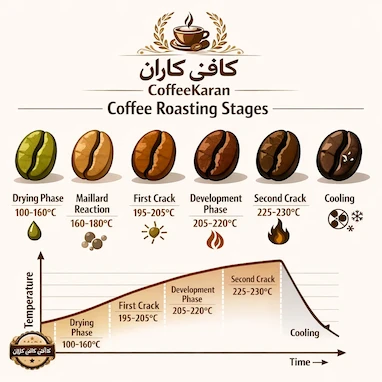 مراحل برشته‌کاری قهوه (Coffee Roasting)