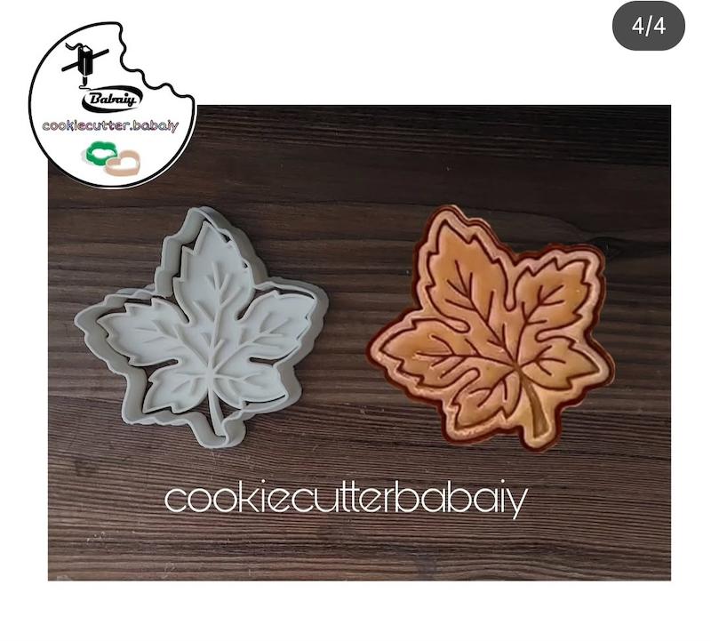 برگ چنار 