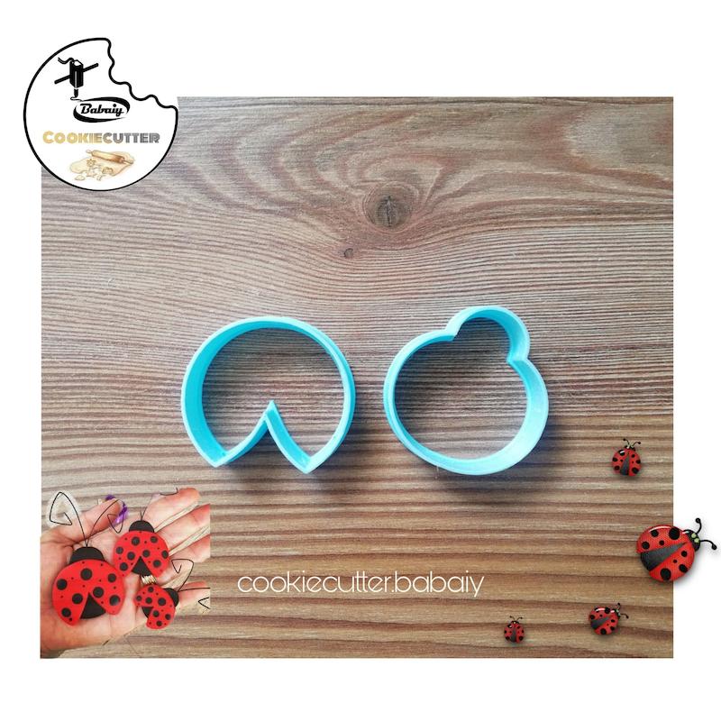 کاتر کفشدوزک 