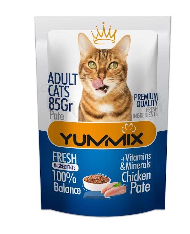 پوچ گربه بالغ