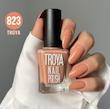 لاک ترویا 823 troya