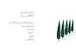 تیشرت باغ سرو 🍃