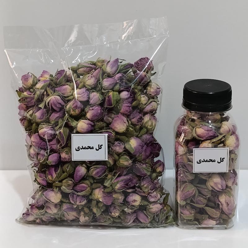 غنچه گل محمدی