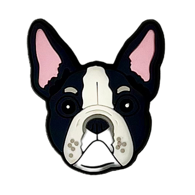 Boston Terrier Dog