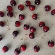 گوشواره گیلاس🍒