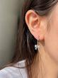 گوشواره های رنگ ثابت همیشگی