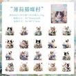 پک استیکر Cute Cat برند Yiwu Mingtai