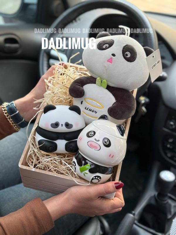 باکس هدیه پاندا  کد 89c