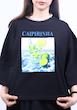 کراپ لش پینترستی Caipirnha