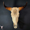 جمجمه گاو حکاکی طرح اسکلت