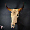جمجمه گاو حکاکی طرح اسکلت
