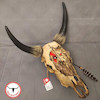 جمجمه گاو نقاشی طرح خدای جنگ