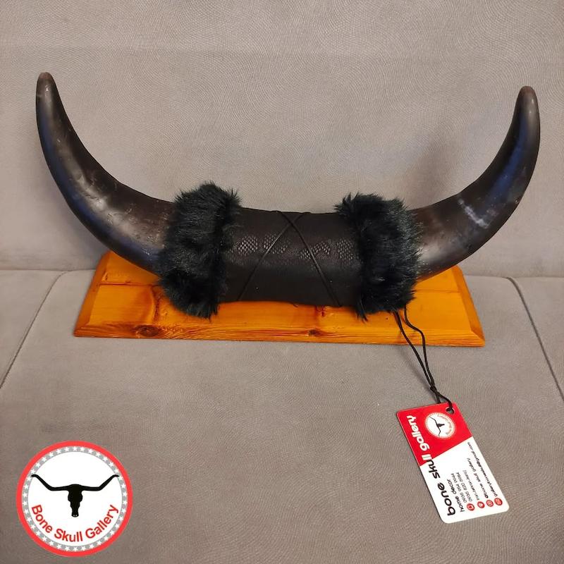استند رومیزی شاخ گاو هلندی