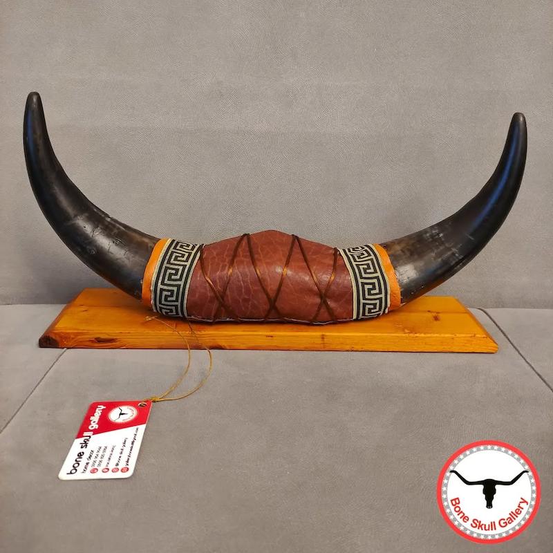استند رومیزی شاخ گاو هلندی