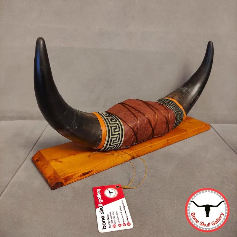 استند رومیزی شاخ گاو هلندی