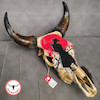 جمجمه گاو نقاشی طرح سامورایی