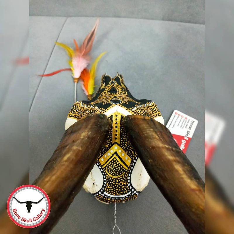 جـمـــجـــمـــه ‌‌‌‌‌‌‌طـبـیـعــی بز نقاشی 