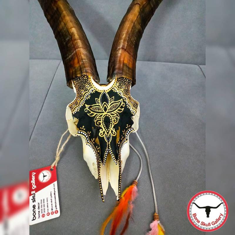 جـمـــجـــمـــه ‌‌‌‌‌‌‌طـبـیـعــی بز نقاشی 