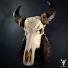 جمجمه گاو میش حکاکی طرح ماگلاژ