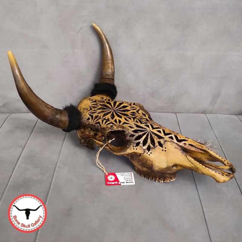 جمجمه گاو حکاکی طرح لوزاک