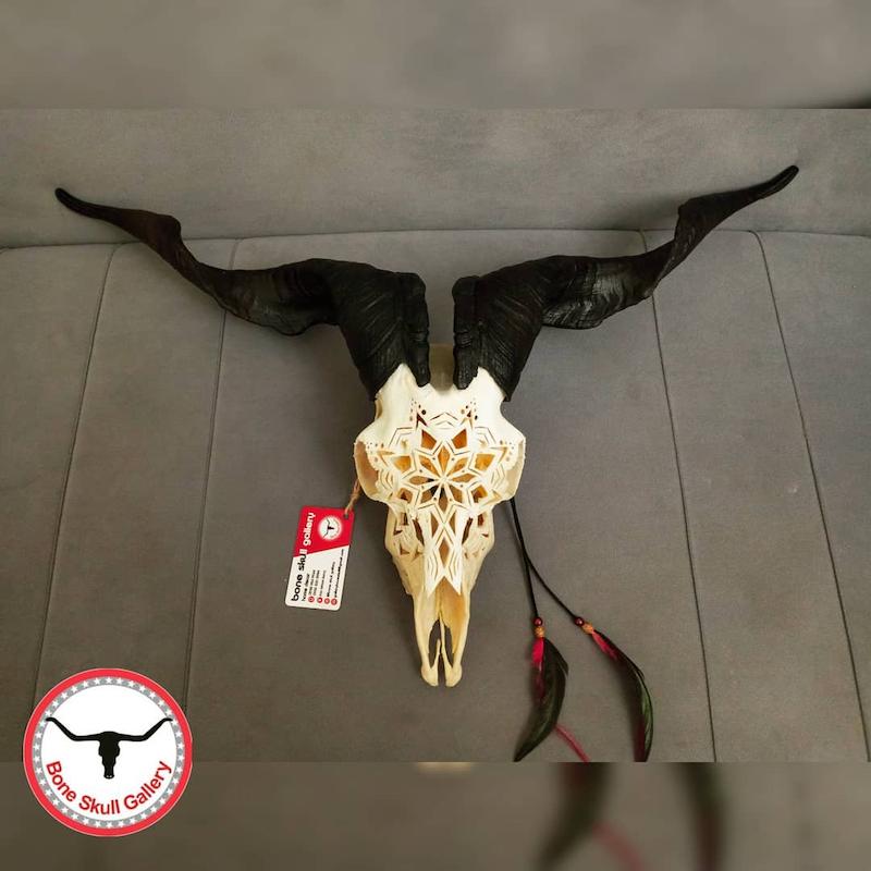جمجمه بز حکاکی طرح نتل
