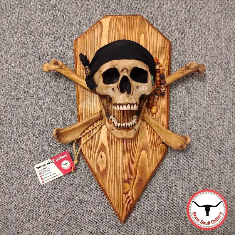 جمجمه انسان طرح دزد دریایی