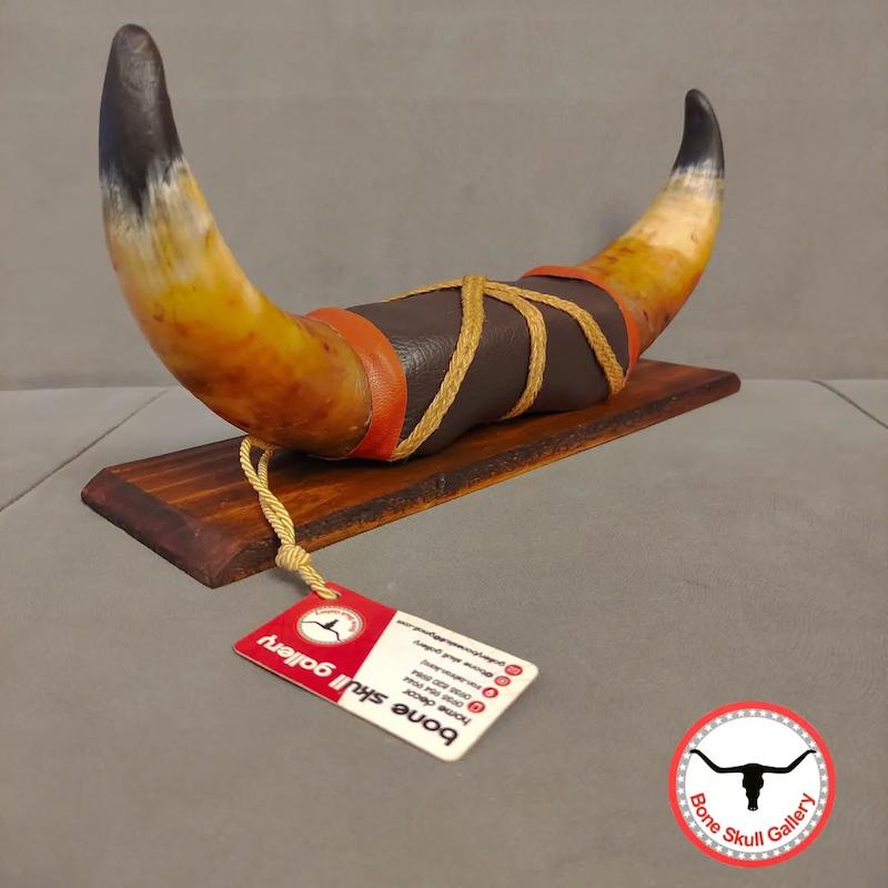 استند رومیزی شاخ گاو 